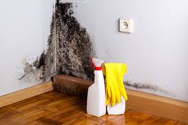 Best Real Estate Mold Inspection  in Grantley, PA